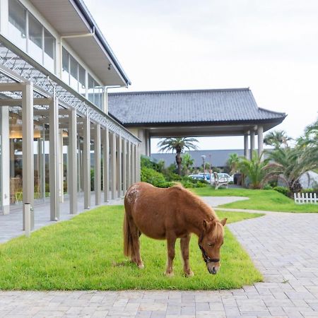 Ryugujo Spa Hotel Mikazuki Ryugutei Кисарадзу Экстерьер фото